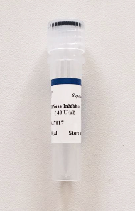 核维塔™RNase Inhibitor(RNA 酶抑制剂)