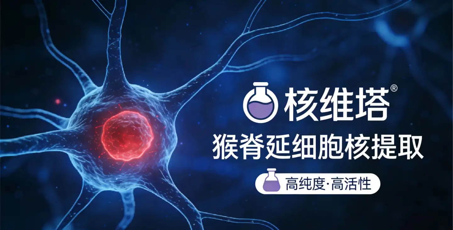 猴脊延冷冻组织的高难度抽核解决方案