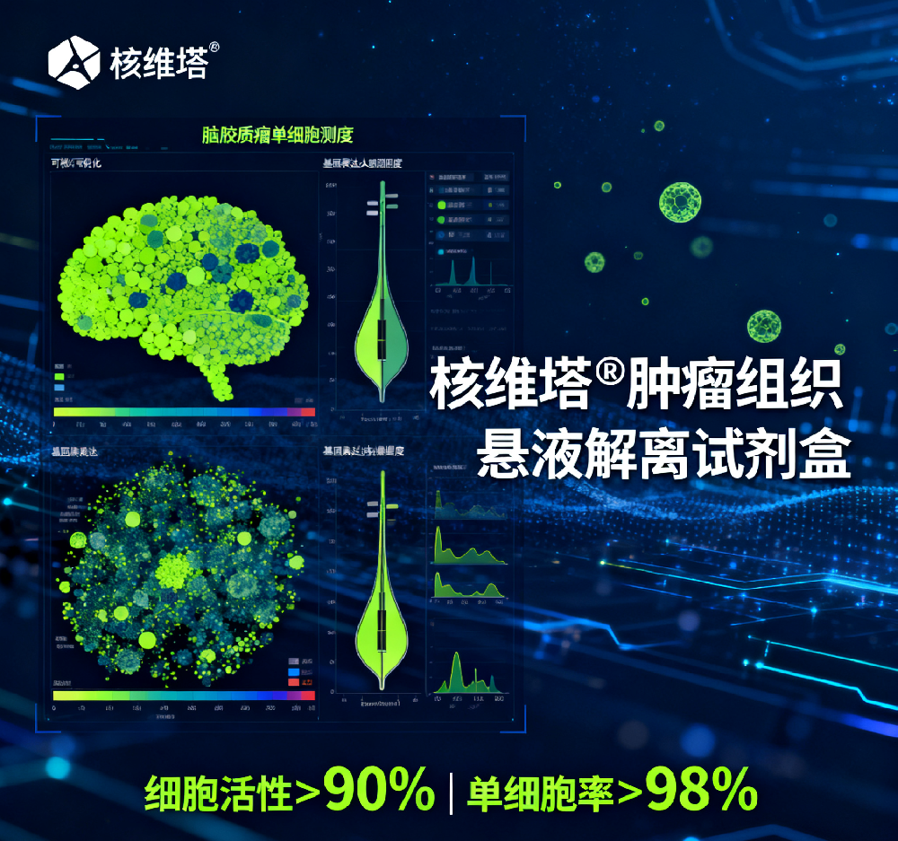 人脑胶质瘤单细胞组学的数据交付方案